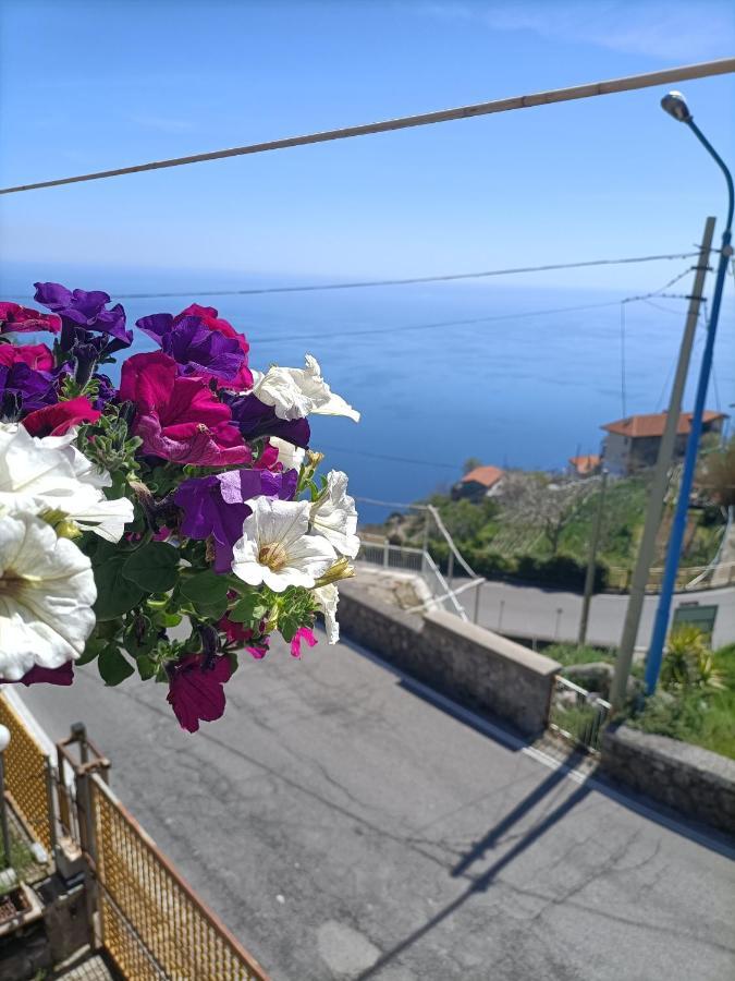 Casa Teranga Hotel Furore Kültér fotó